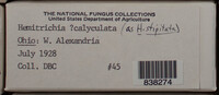 Image Associated With the Occurence